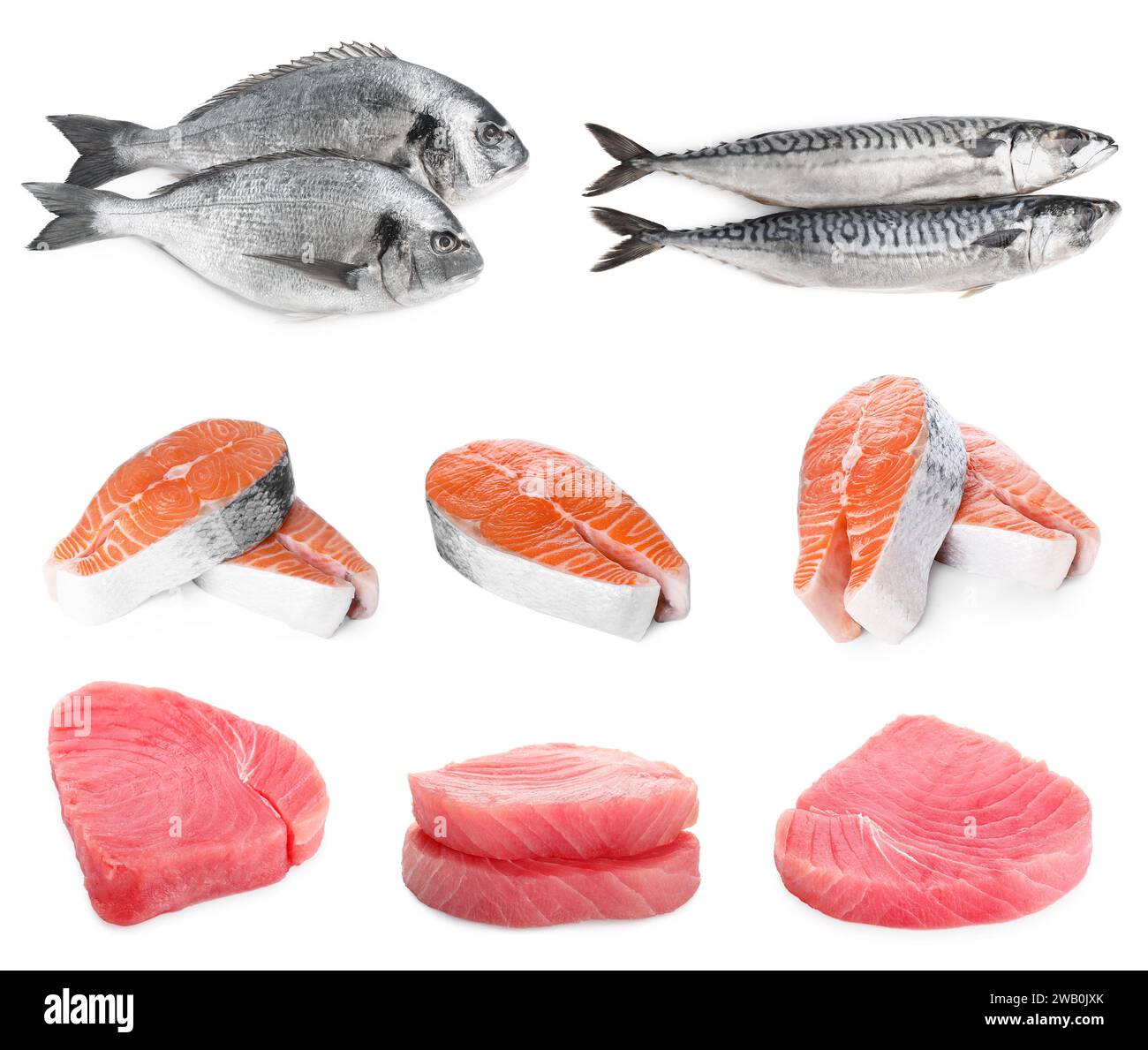 Différents types de poissons crus isolés sur blanc, ensemble Banque D'Images