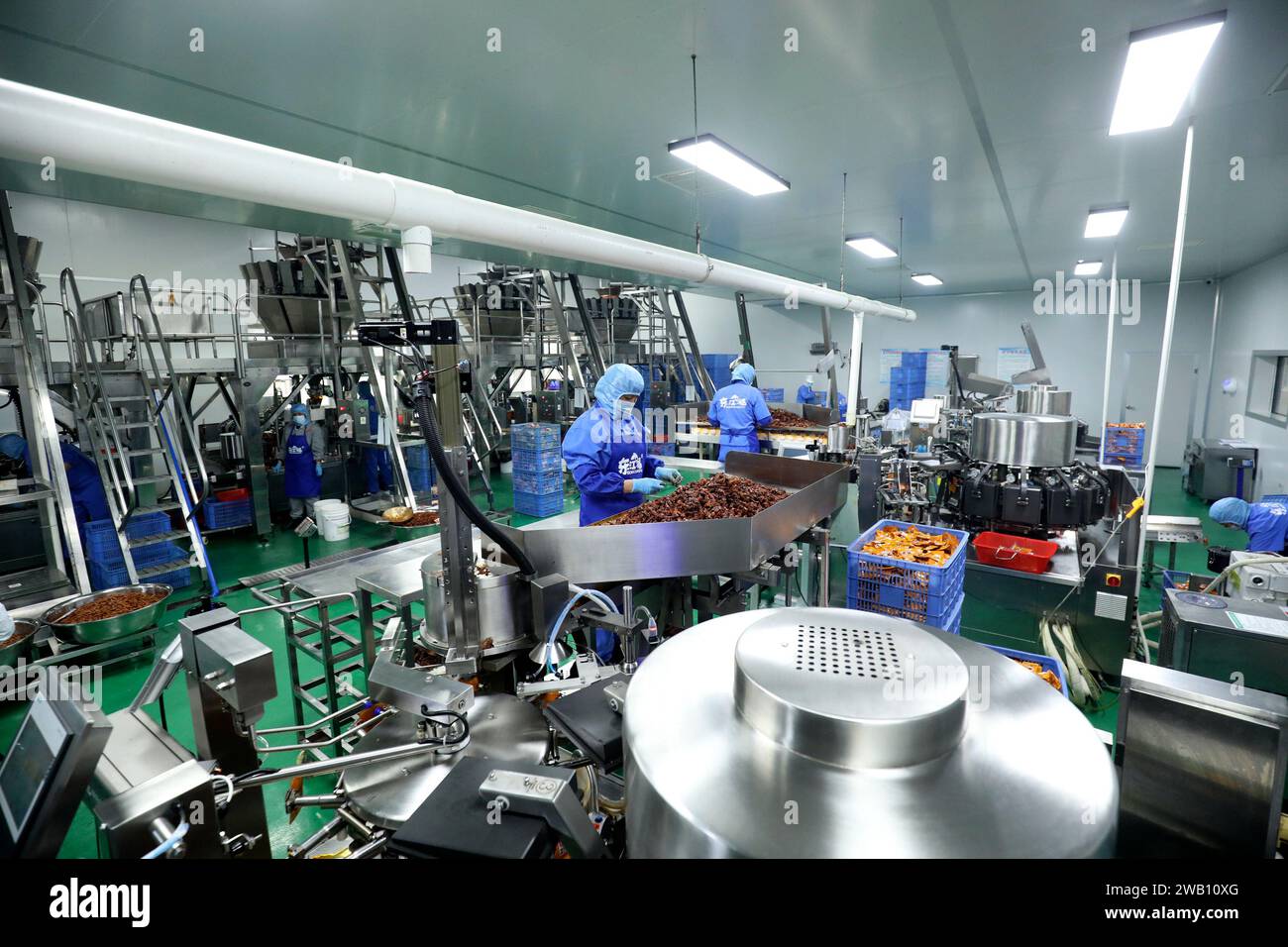 ZIXING, CHINE - 4 JANVIER 2024 - des travailleurs produisent des produits de la pêche dans un atelier d'une entreprise d'aliments naturels dans la ville de Zixing, province du Hunan, Chine, en janvier Banque D'Images