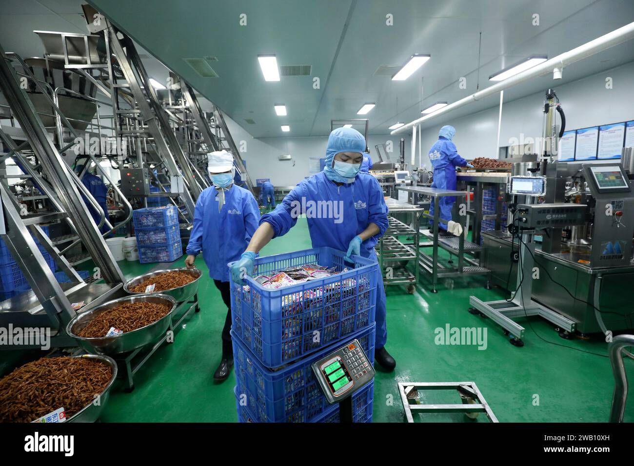 ZIXING, CHINE - 4 JANVIER 2024 - des travailleurs produisent des produits de la pêche dans un atelier d'une entreprise d'aliments naturels dans la ville de Zixing, province du Hunan, Chine, en janvier Banque D'Images