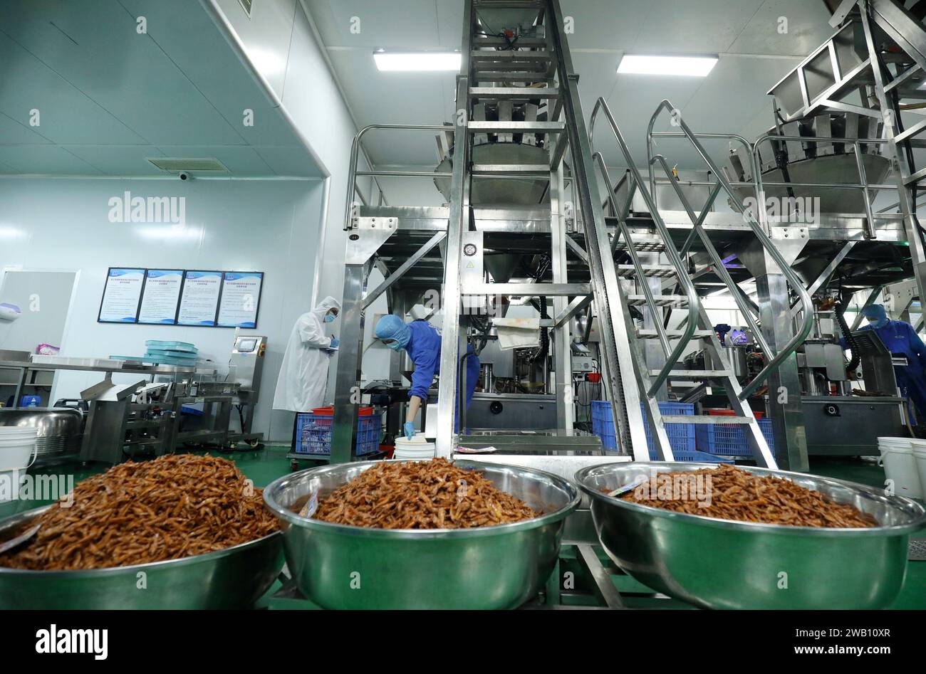ZIXING, CHINE - 4 JANVIER 2024 - des travailleurs produisent des produits de la pêche dans un atelier d'une entreprise d'aliments naturels dans la ville de Zixing, province du Hunan, Chine, en janvier Banque D'Images