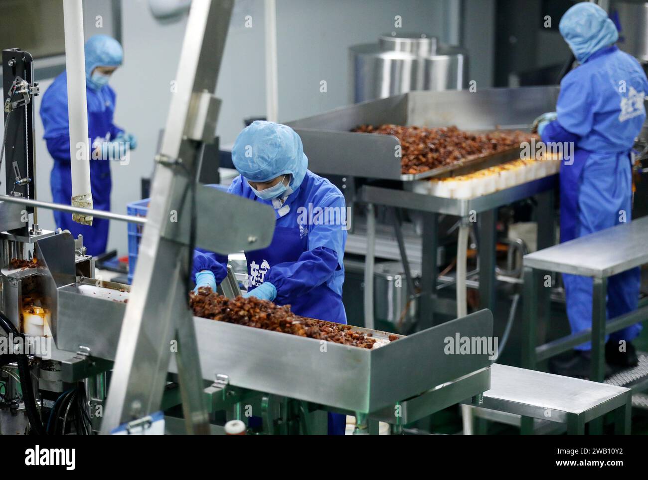ZIXING, CHINE - 4 JANVIER 2024 - des travailleurs produisent des produits de la pêche dans un atelier d'une entreprise d'aliments naturels dans la ville de Zixing, province du Hunan, Chine, en janvier Banque D'Images