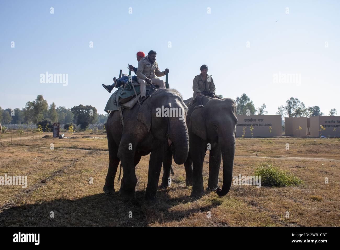 Dehradun,Uttarakhand Inde-août 17 2023-paysages de Uttarakhand sur un beau voyage avec des éléphants.image de haute qualité Banque D'Images