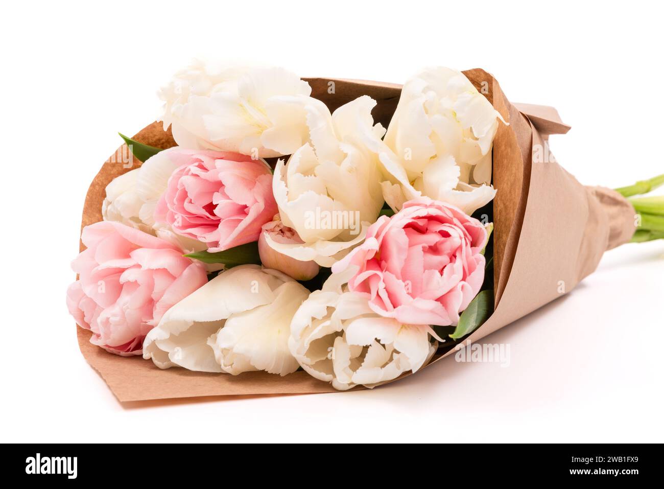 Bouquet de doubles tulipes blanches et roses enveloppées dans du papier brun recyclé isolé sur fond blanc. Bouquet de tulipes. Banque D'Images