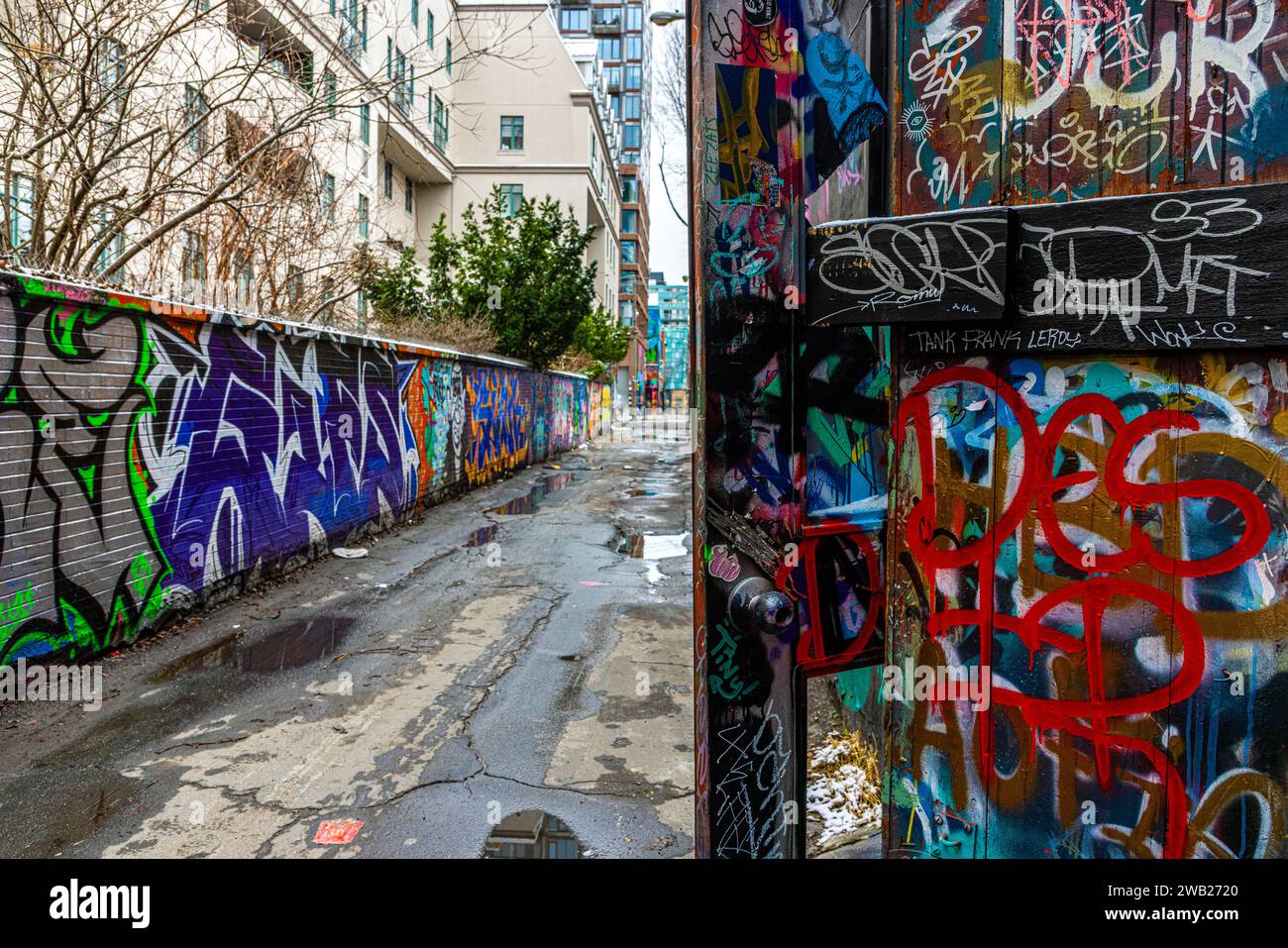 Graffiti Alley, aussi connu sous le nom de Rush Lane, est un joyau caché dans le quartier de la mode de Toronto. C'est une ruelle étroite bordée de peintures murales colorées et de rue Banque D'Images