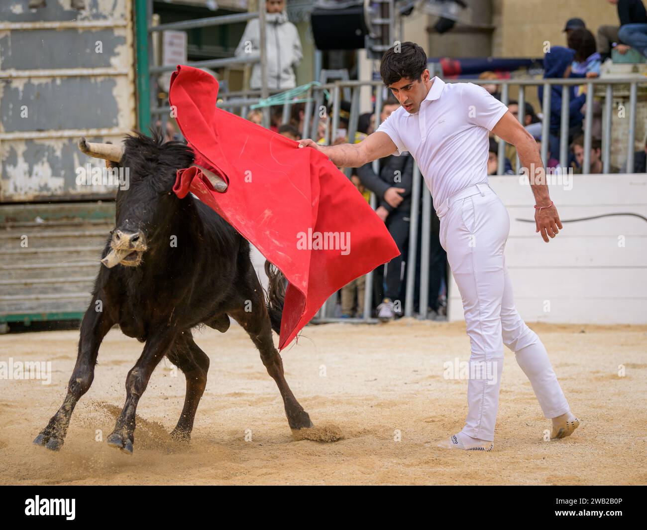 Arles, France - 11 mars 2023 : bataille de taureaux à Capea du Forum, un événement traditionnel gratuit organisé par l'école taurine d'Arles Banque D'Images