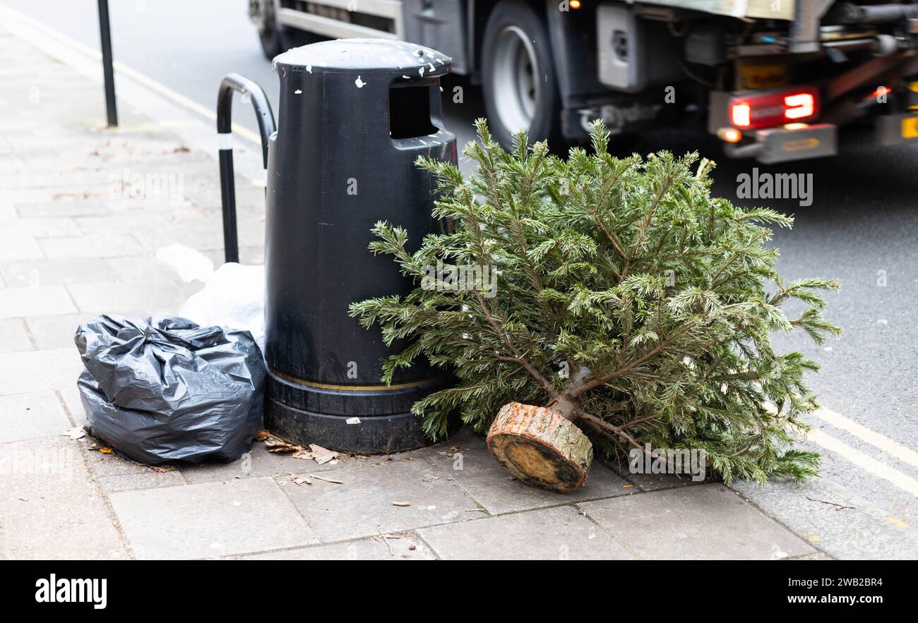 Londres, Royaume-Uni. 08 janvier 2024. Londres marque la conclusion traditionnelle de la saison des fêtes, après avoir passé le douzième jour de Noël. Les résidents, faisant leurs adieux aux fêtes, ont placé leurs arbres de Noël à l'extérieur, transformant la ville en une forêt urbaine distinctive. Crédit : Sinai Noor/Alamy Live News crédit : Sinai Noor/Alamy Live News Banque D'Images