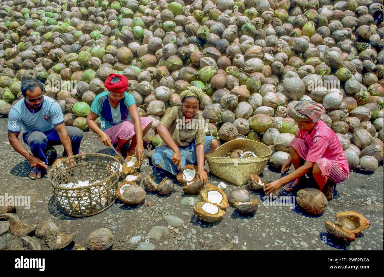 Indonésie, Java - les femmes gagnent du coprah à partir de noix de coco séchées. Banque D'Images