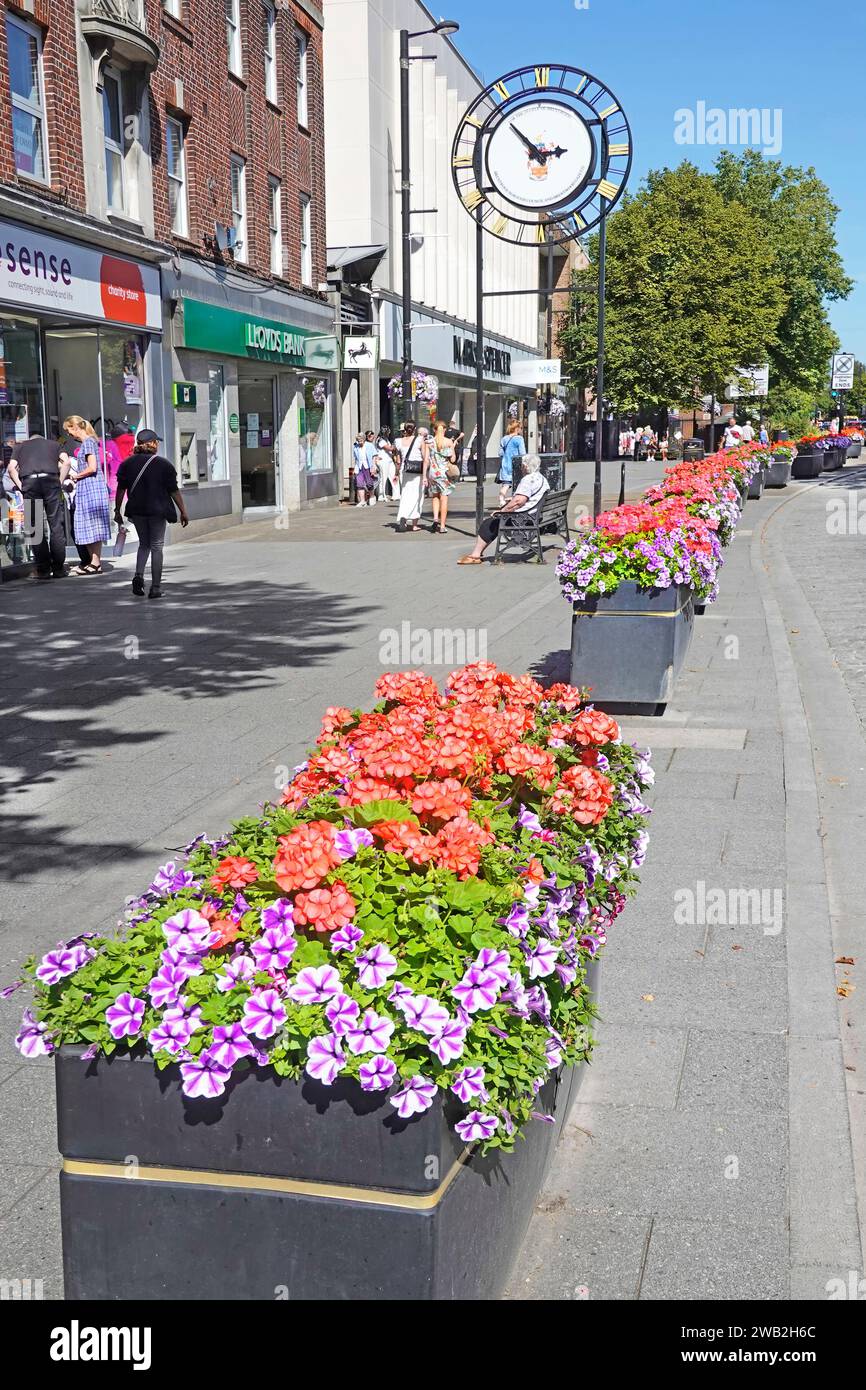 Les boîtes de jardinière colorées fleurissent l'été dans une longue rangée pour bloquer le stationnement sur la chaussée avec l'horloge de la ville à Brentwood Shoppers High Street Essex England UK Banque D'Images