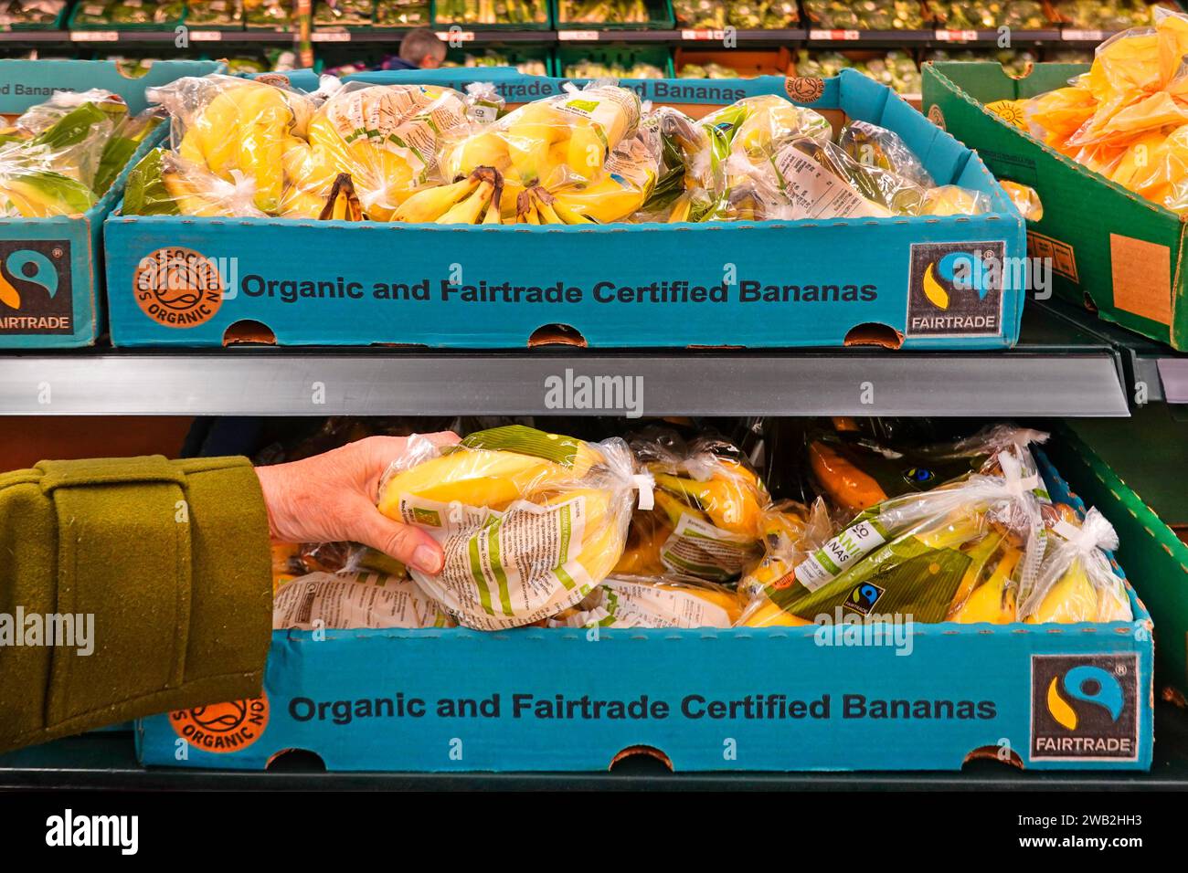 Commerce équitable sacs en plastique boîtes en carton de bananes biologiques acheteurs mains fruits self-service dans les étagères de supermarché Tesco dans le grand magasin d'alimentation Angleterre Royaume-Uni Banque D'Images