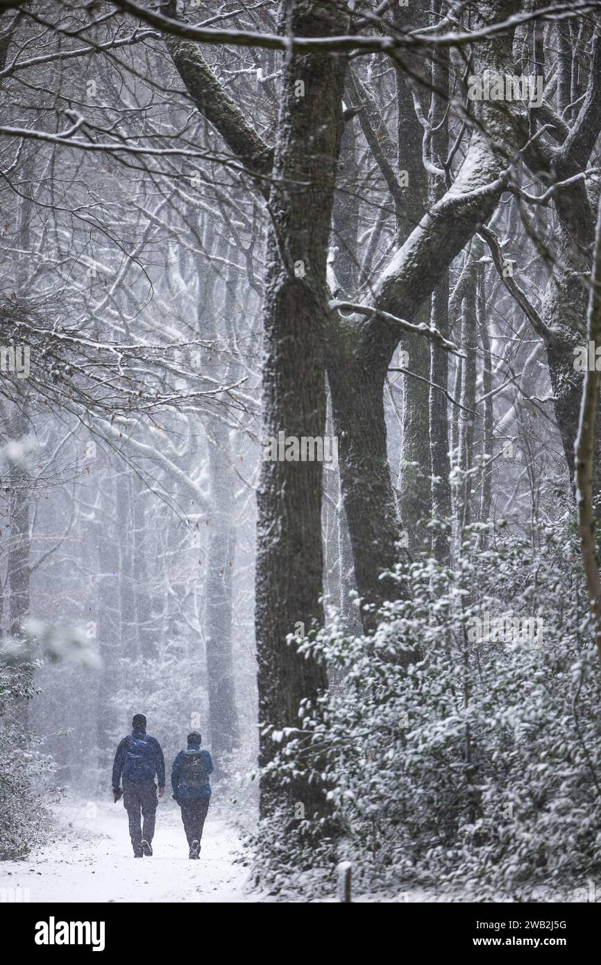 VIJLEN - Limbourg Sud est recouvert d'une fine couche de neige. C'est un temps hivernal. ANP MARCEL VAN HOORN netherlands Out - belgique Out Banque D'Images