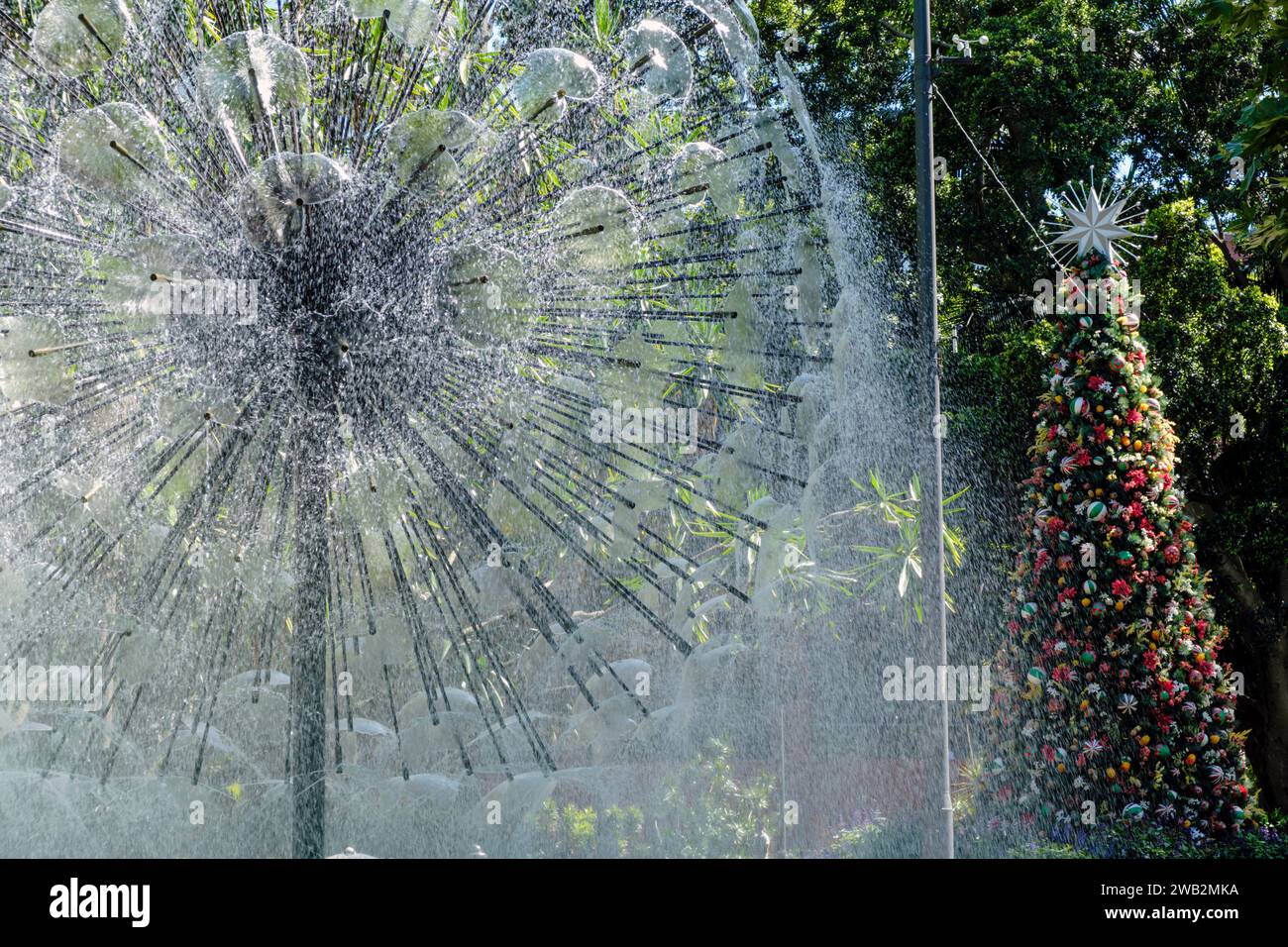 La fontaine commémorative El Alamein et un arbre de Noël, Fitzroy Gardens, Macleay Street, Kings Cross, Sydney, nouvelle-Galles du Sud, Australie Banque D'Images