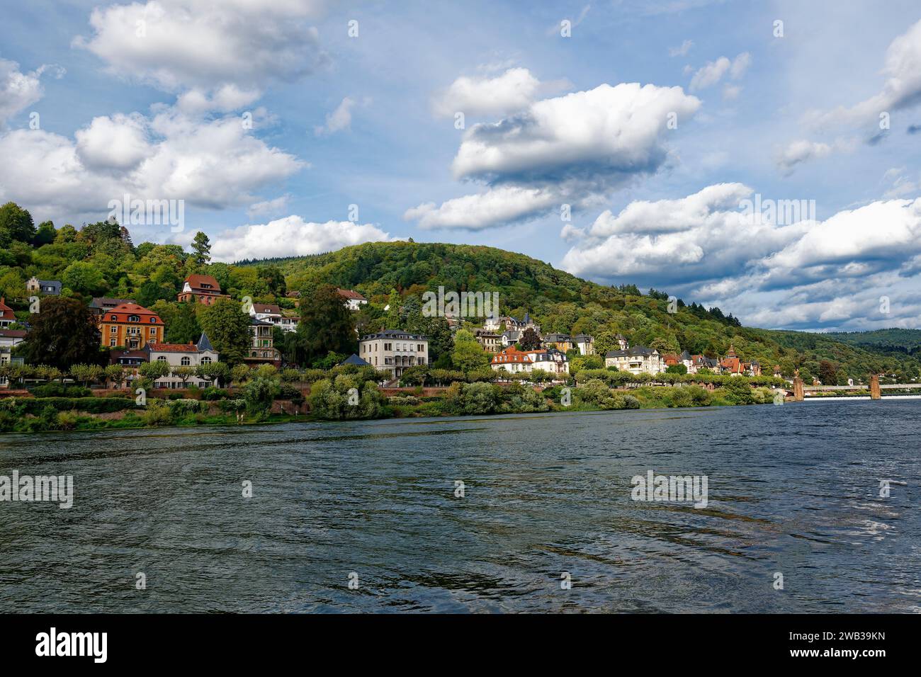Banlieue résidentielle le long de la rivière Neckar, Heidelberg, Bade Wurtemberg, Allemagne Banque D'Images