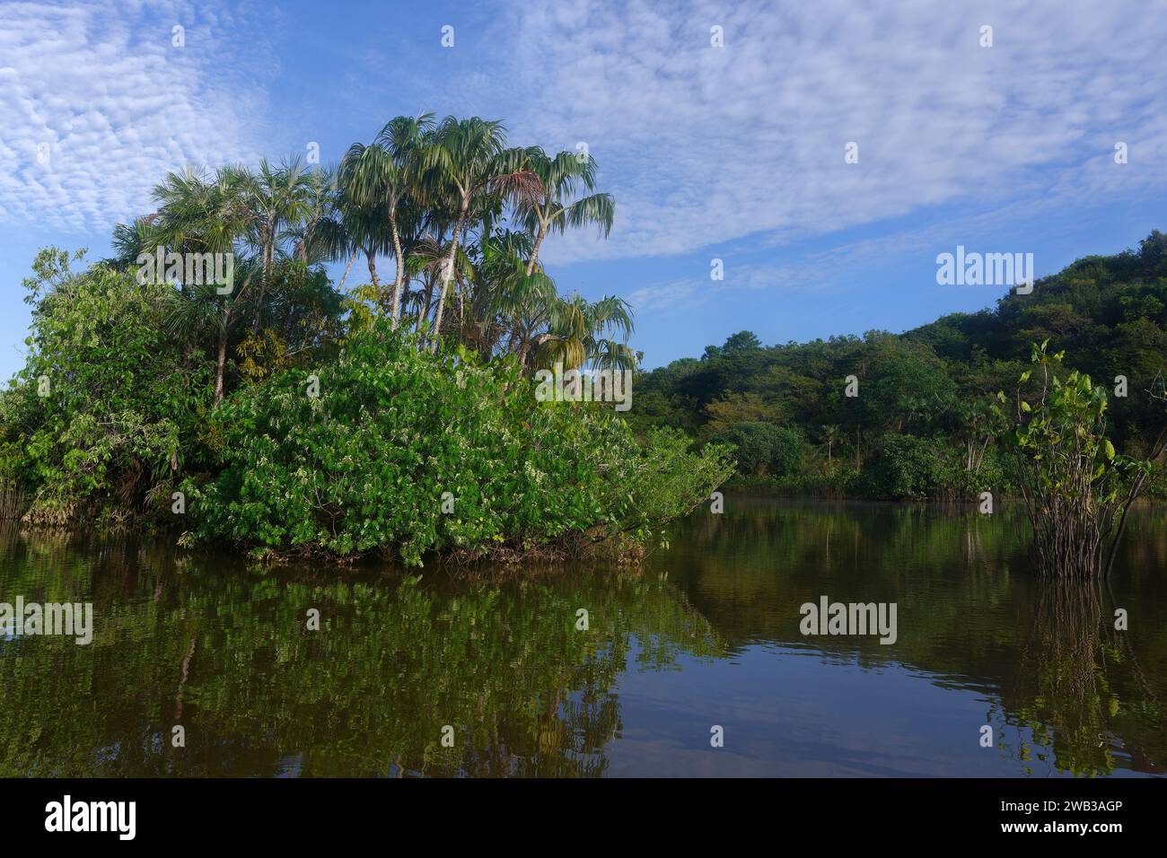 Lumière du matin, lagune d'Itapicuru, État de Para, Brésil Banque D'Images