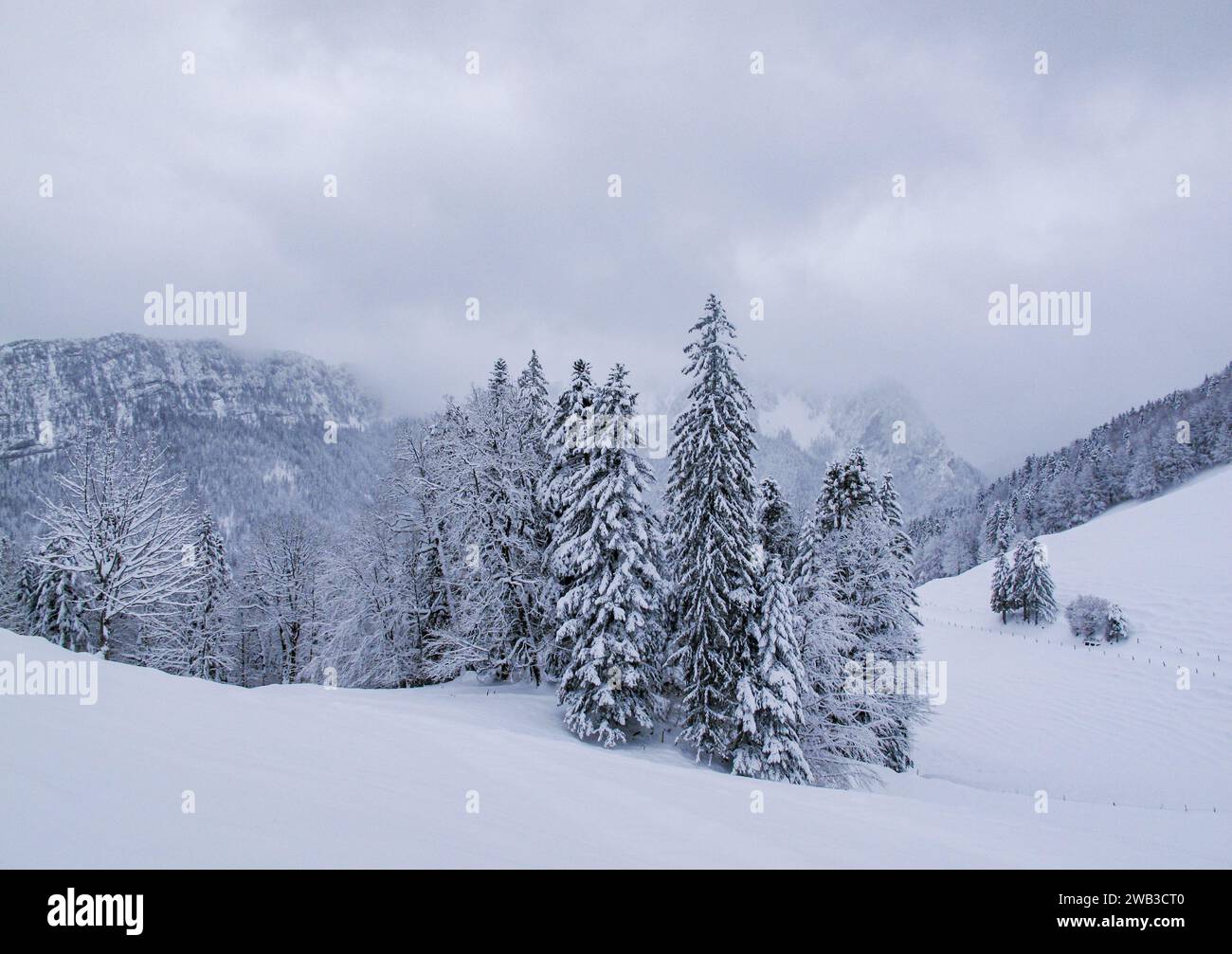 Hiver dans le massif de la Chartreuse, département de l'Isère, région Auvergne-Rhône-Alpes, France Banque D'Images