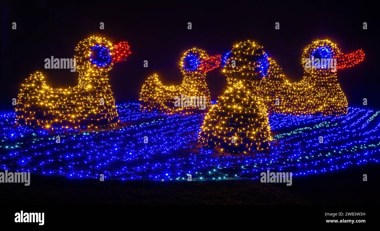 Mainau, Allemagne - 27 décembre 2023 : un jardin de Noël est un événement de Noël avec de belles créations lumineuses et illuminations sur l'île de Mainau Banque D'Images Mainau, Allemagne - 27 décembre 2023 : un jardin de Noël est un événement de Noël avec de belles créations lumineuses et illuminations sur l'île de Mainau Banque D'Images