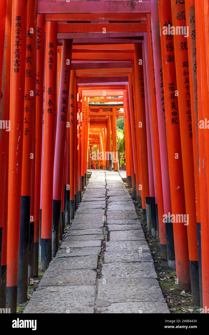 Torii au sanctuaire Otome Inari à Tokyo Banque D'Images