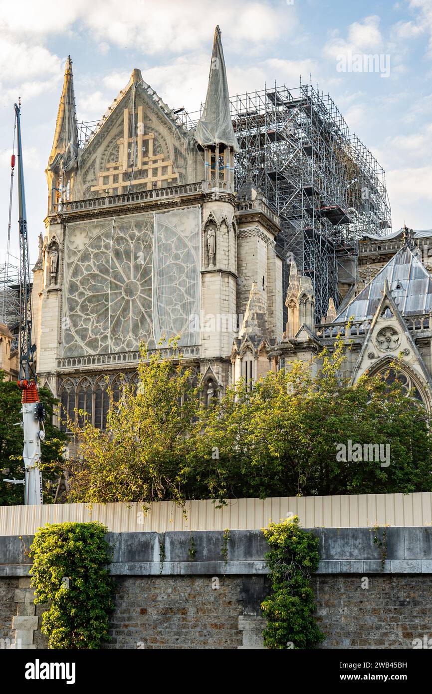 Paris-France 31 mai 2019 - Rénovation de la cathédrale notre Dame de Paris juste après l'incendie. Banque D'Images