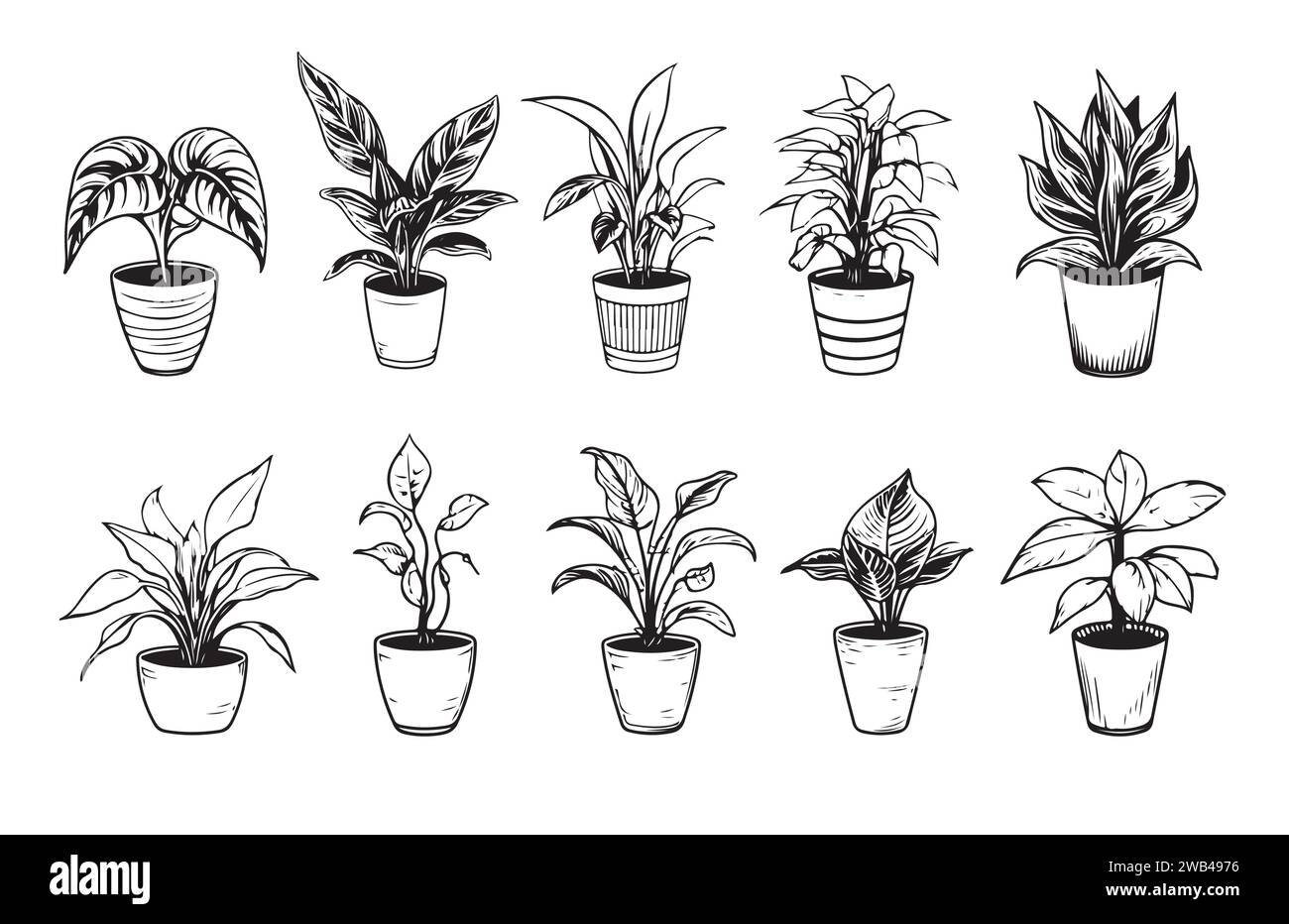 Ensemble de dessins de contour de plantes d'intérieur. Fleurs exotiques d'intérieur en pots Line art. Dracaena, ficus, cactus, plante de serpent pour les plans d'intérieur de la maison, design. Vect Illustration de Vecteur