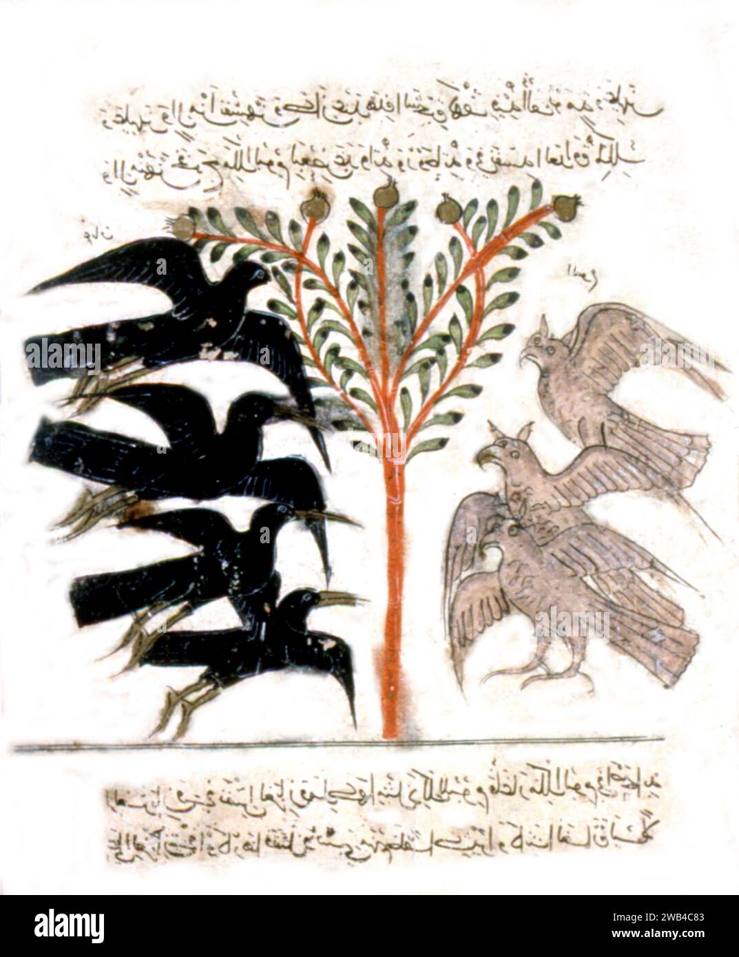 Kalila wa-Dimna' ou 'Kelileh va demneh', manuscrit arabe, Traduction des fables indiennes par Pilpay ou Bidpai, 6e siècle. Miniature du 11e siècle Banque D'Images