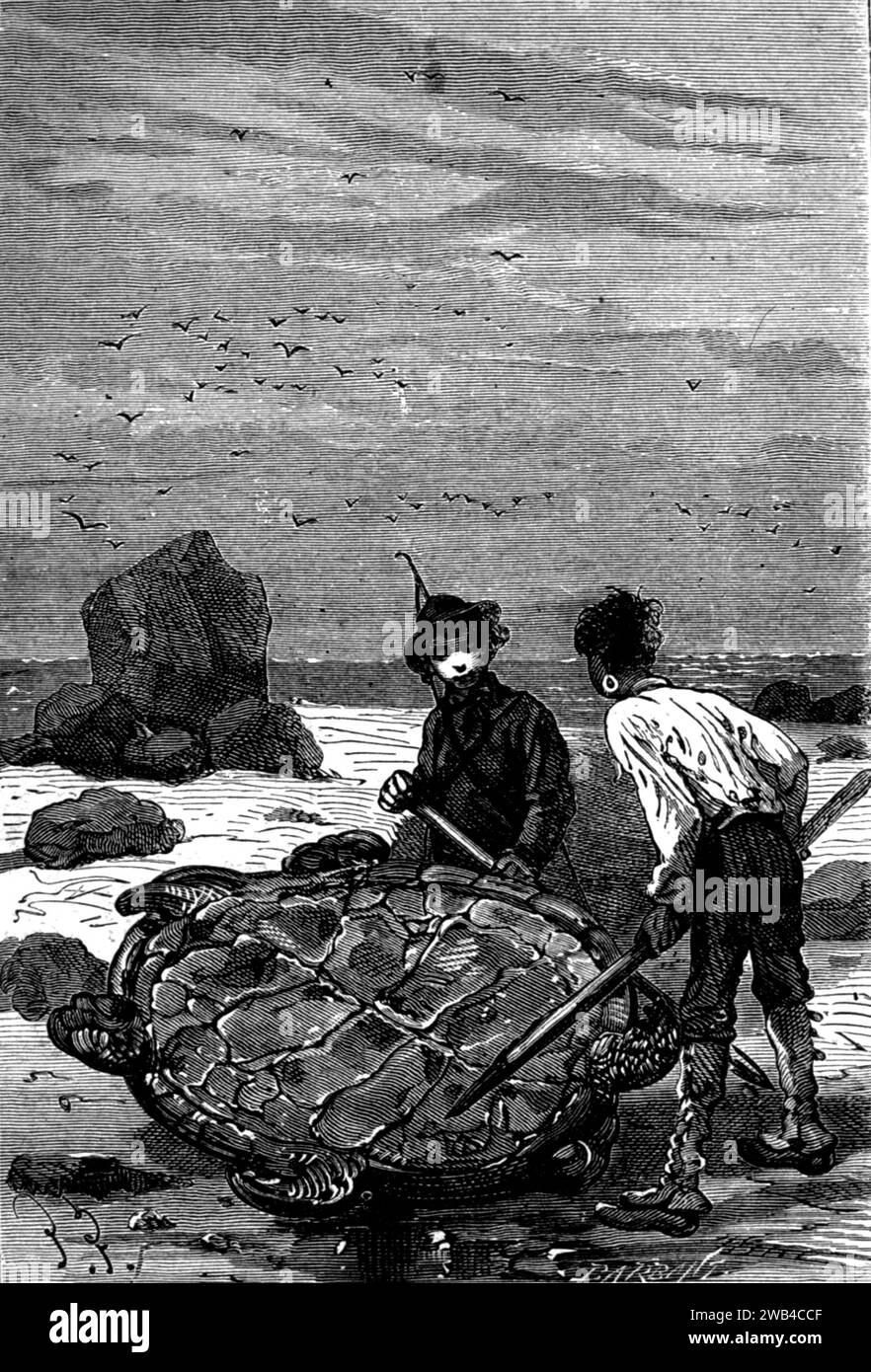 Illustration Jules Verne, 'l'Île mystérieuse' : 'cela fera le bonheur de Pencroft' Editions Hetzel, 1874/1875 Collection privée Banque D'Images