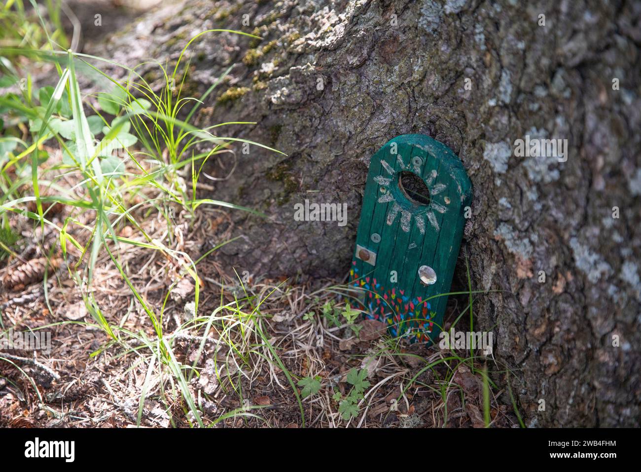 Une petite porte verte repose contre un arbre dans un jardin de fées pour enfants Banque D'Images