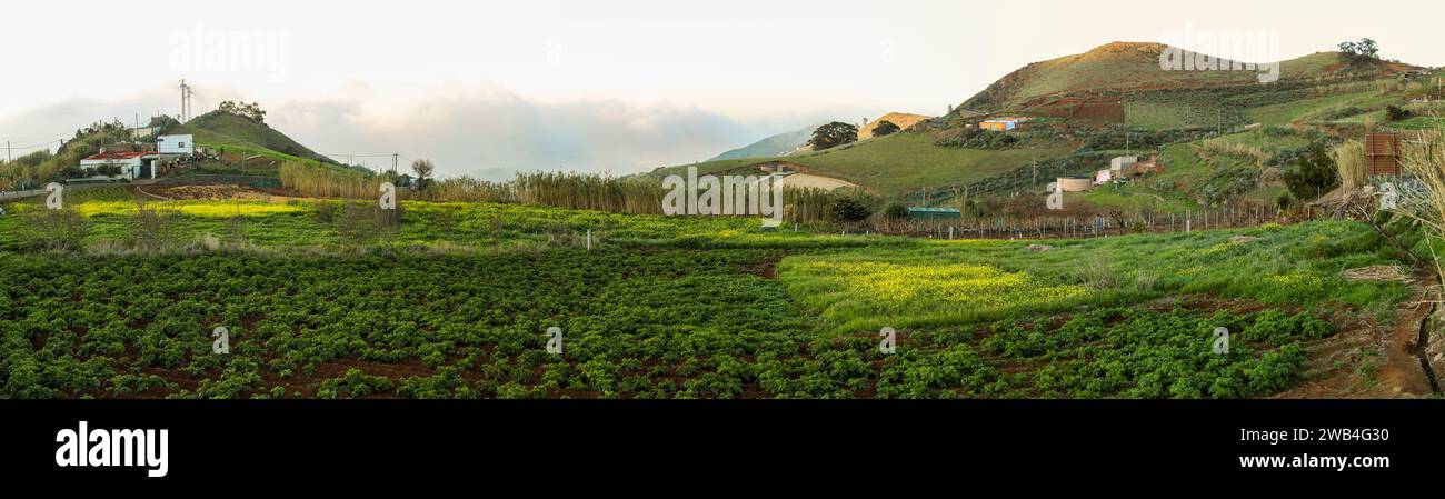 Paysage rural de Caideros à Gran Canaria, Espagne Banque D'Images