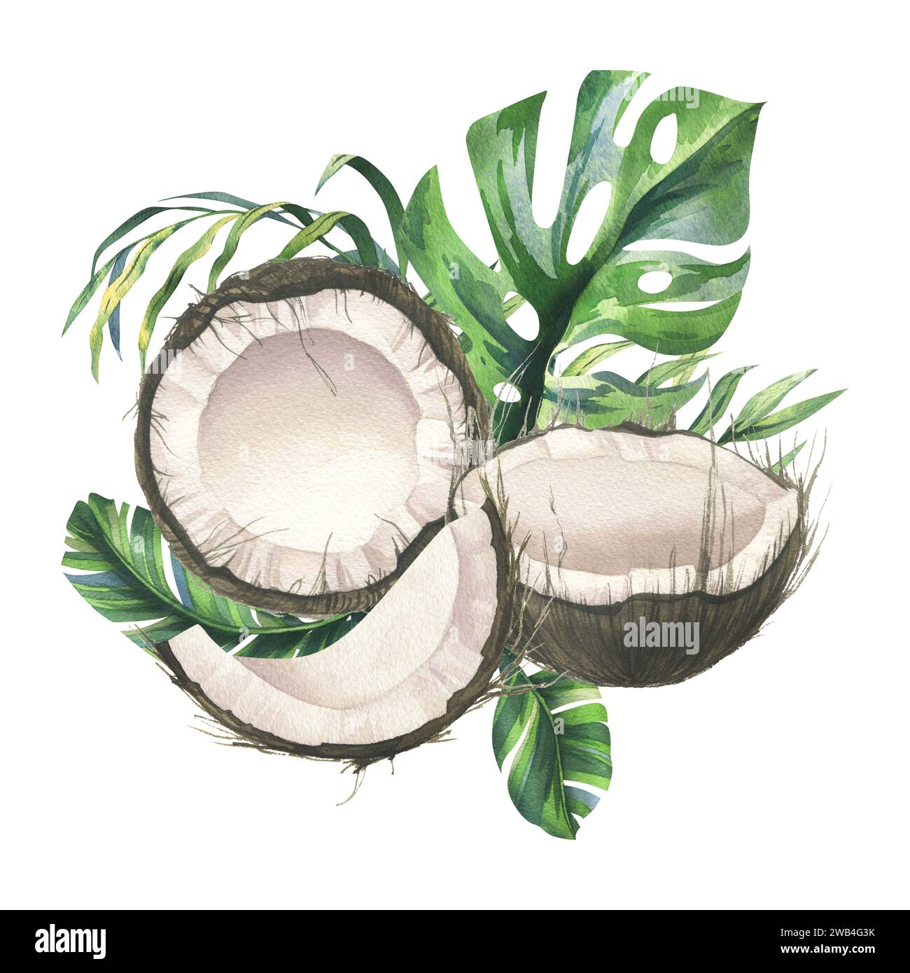 Noix de coco entières, moitiés et morceaux avec des feuilles de palmier tropicales, vertes et lumineuses. Illustration à l'aquarelle dessinée à la main. Composition PREFABRIQUEE ISOLEE a partir du Banque D'Images