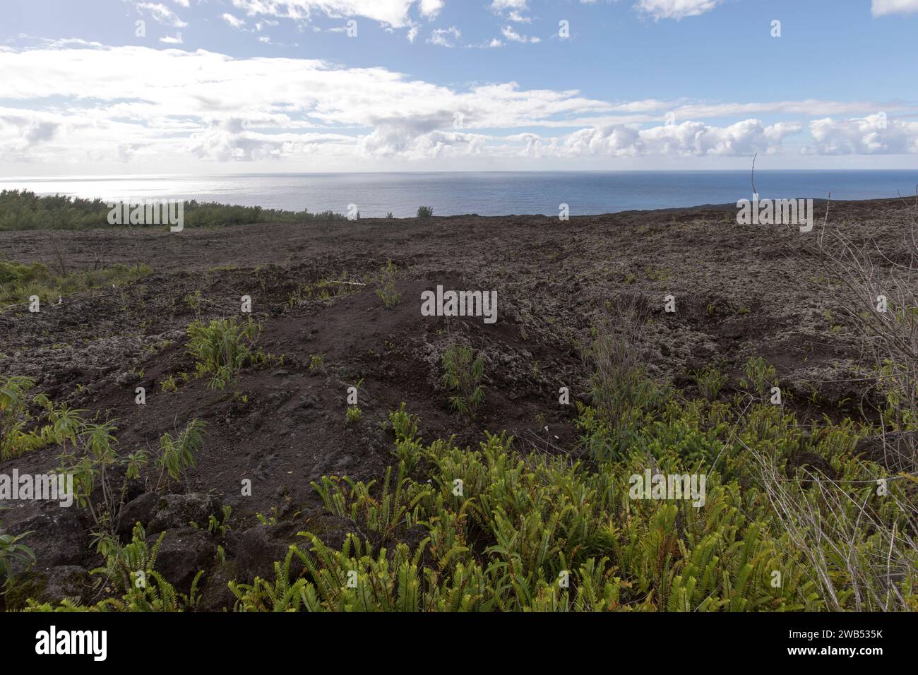 Un paysage de terres volcaniques à la Réunion, France Banque D'Images