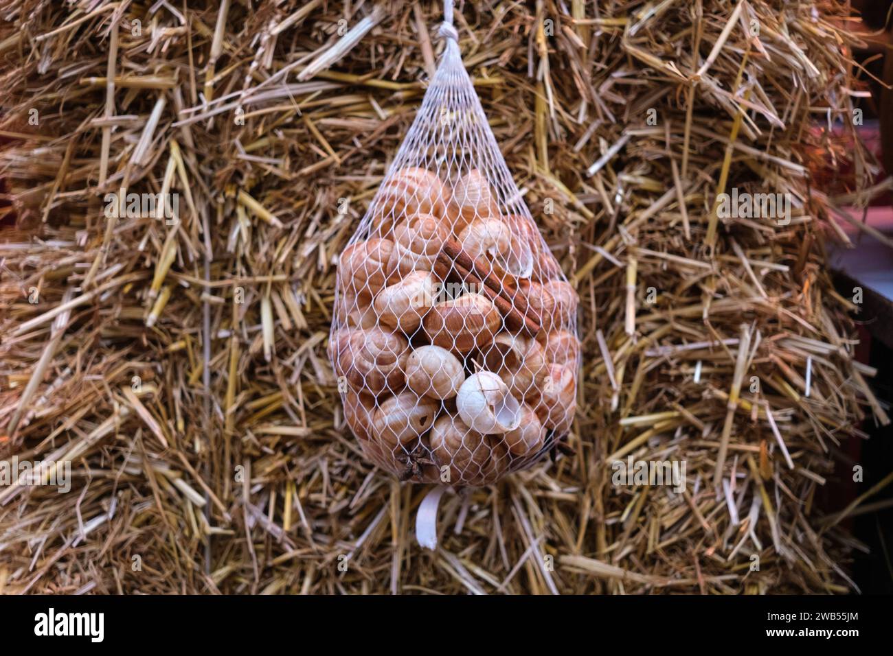 Sac avec escargots frais, à vendre pour la cuisine, typiquement française. Banque D'Images
