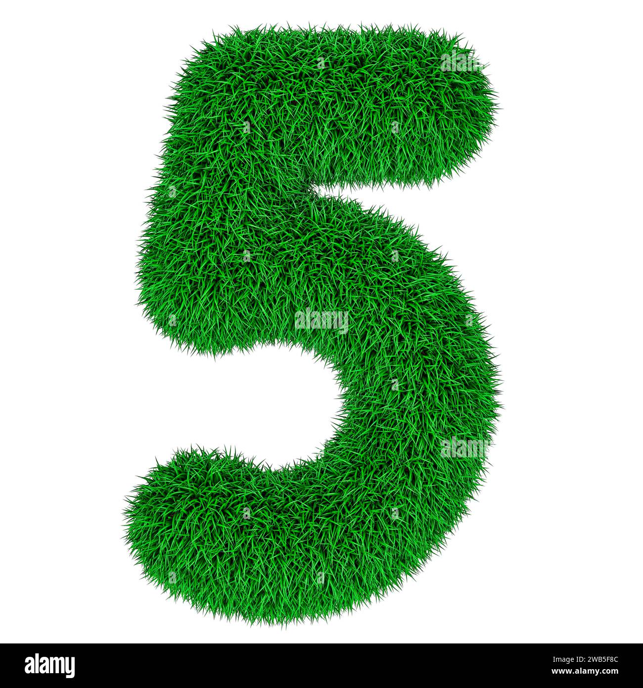 Numéro 5 de l'herbe verte, rendu 3D isolé sur fond blanc Banque D'Images