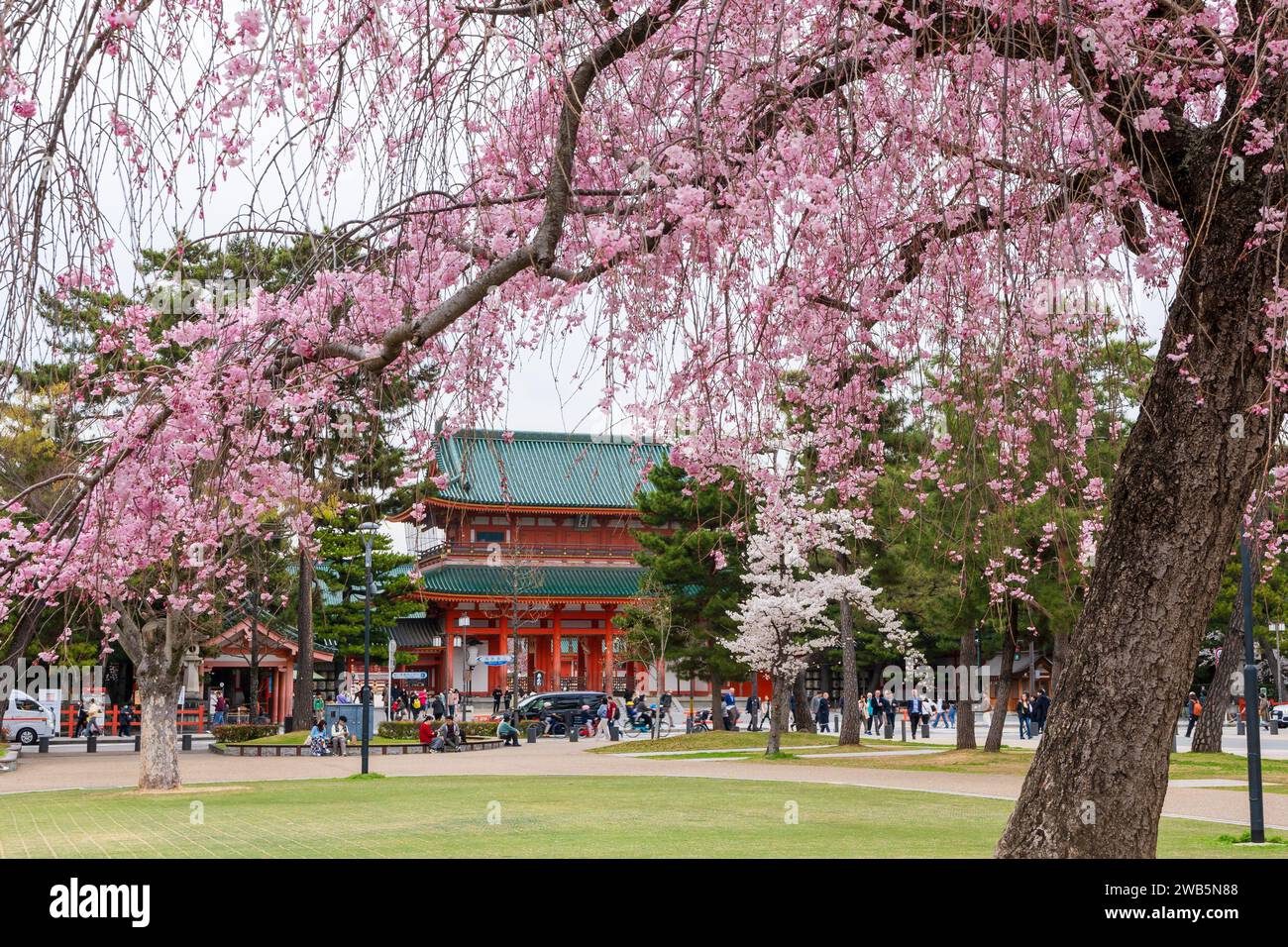 Porte principale du sanctuaire Heian-jingu et cerisier en fleurs. Kyoto, Japon Banque D'Images