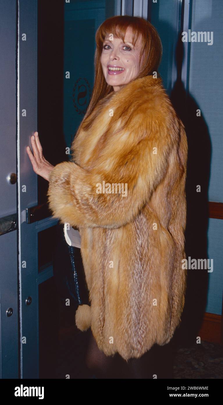 Tina Louise à New York en 1993. Crédit photo : Henry McGee/MediaPunch Banque D'Images