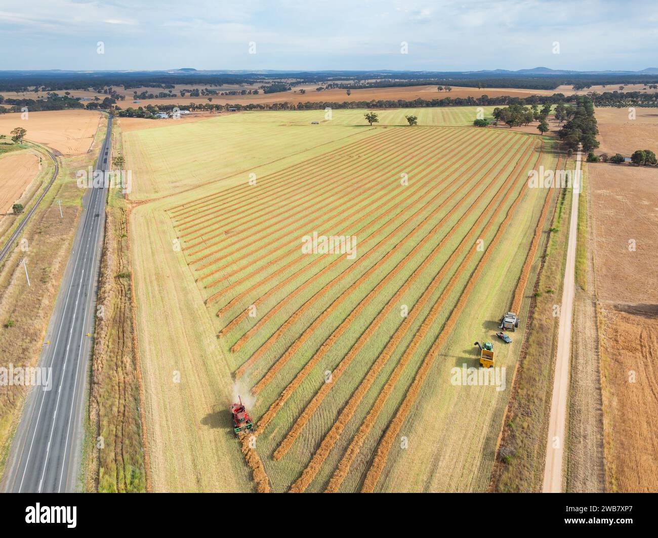 Vue aérienne d'une récolteuse travaillant dans un champ à Joyces Creek dans le centre de Victoria, Australie. Banque D'Images