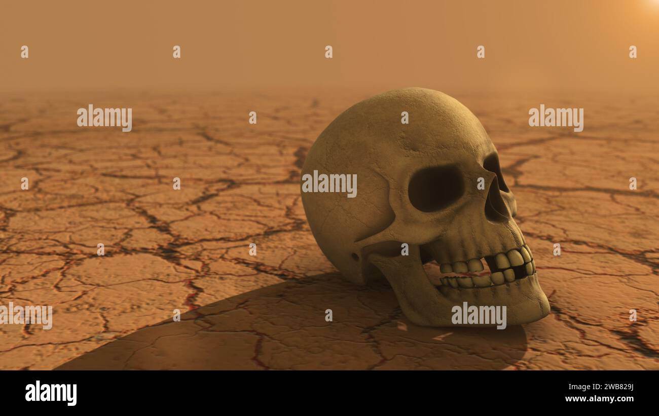 Crâne humain sur sol sec fissuré Banque D'Images