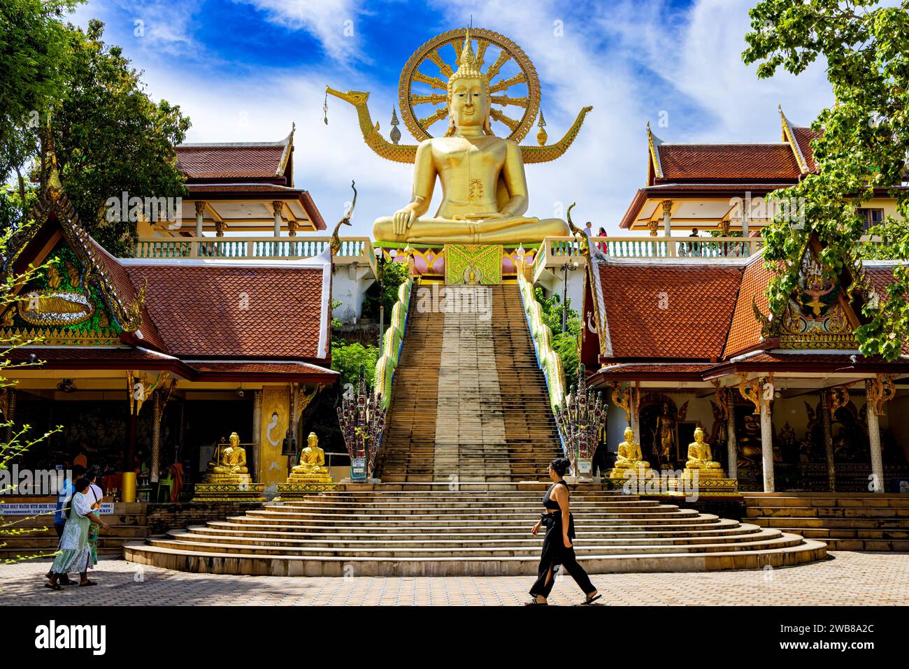 Statue de grand Bouddha, Bo Phut, Ko Samui, Thaïlande Banque D'Images