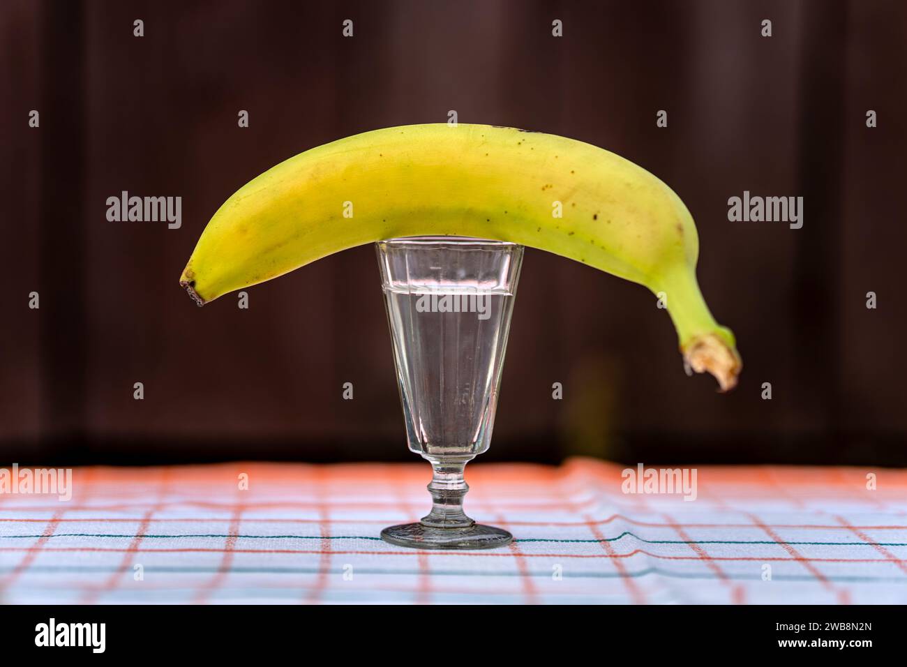 Un verre de cocktail banane. un verre de vodka et une banane sur une nappe blanche. Boissons et en-cas. Banque D'Images