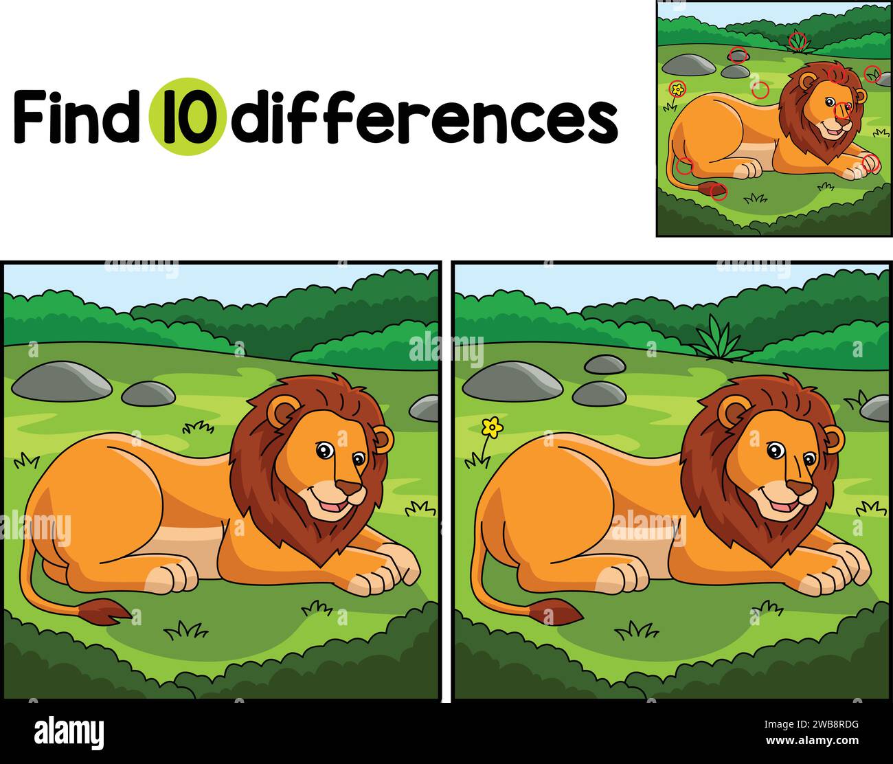 Lion Animal trouver les différences Illustration de Vecteur