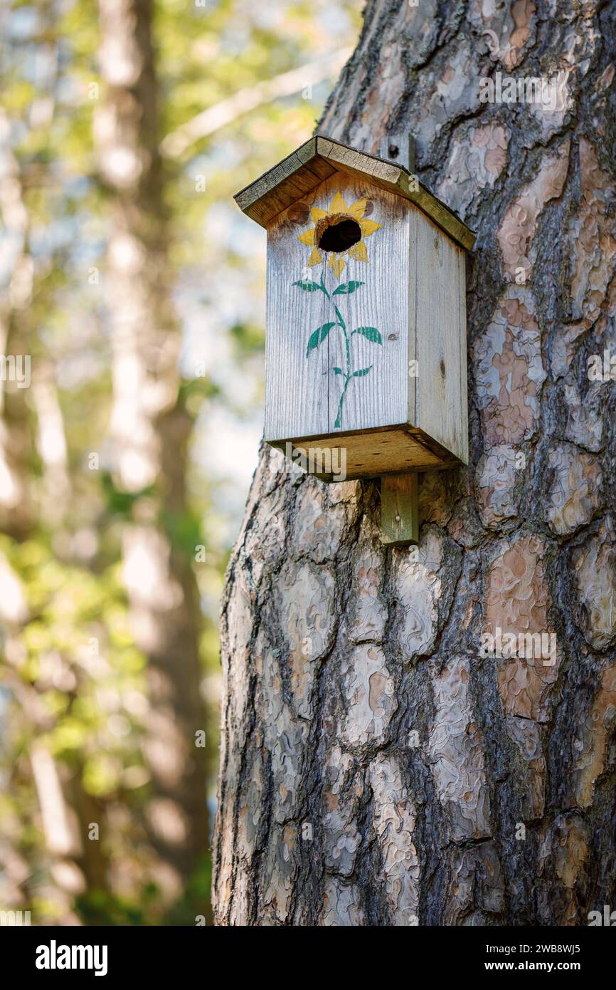 Maison d'oiseau en bois (maison étoilée) sur le tronc d'arbre Banque D'Images