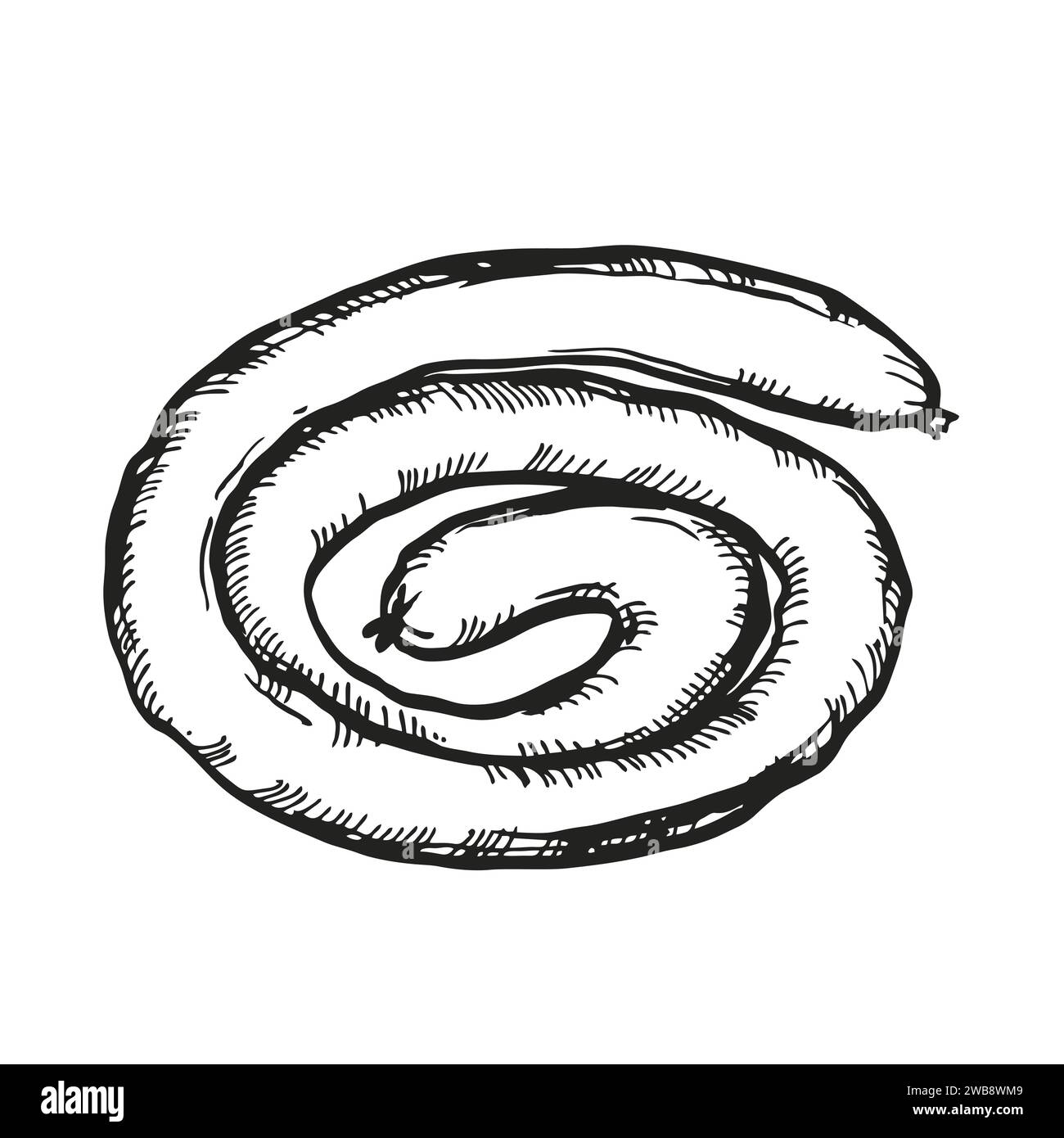 Vector saucisses grillées dessinées à la main, illustration de nourriture à l'encre avec deux saucisses de viande, croquis noir et blanc de thème barbecue isolé sur fond blanc Illustration de Vecteur