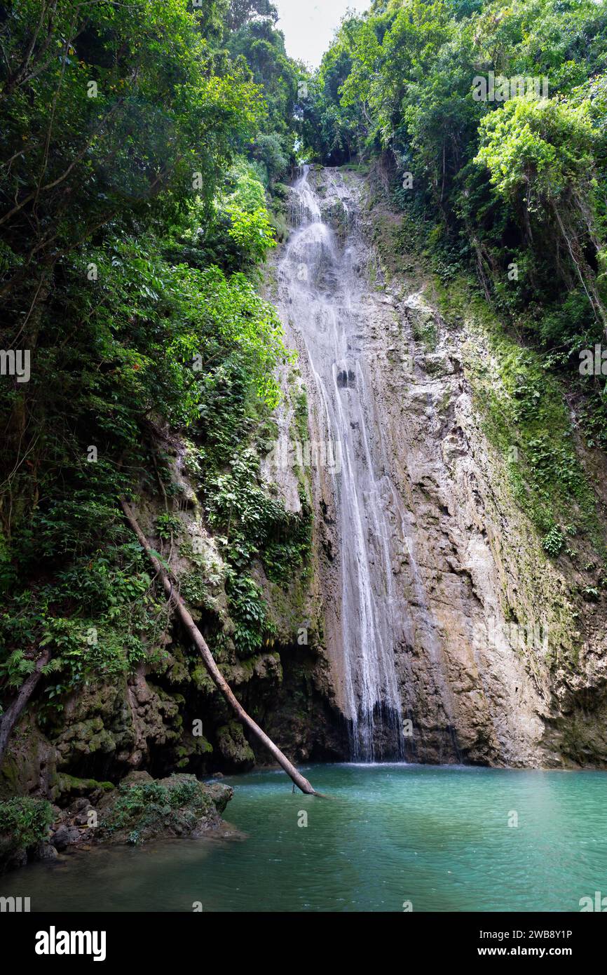Une verticale des chutes de Cangbangag, Siquijor, Philippines Banque D'Images