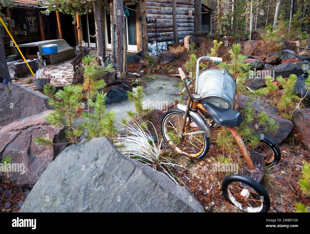 Un vieux vélo dans la cour d'une cabane rustique en rondins dans les bois. High Desert, Oregon, États-Unis Banque D'Images