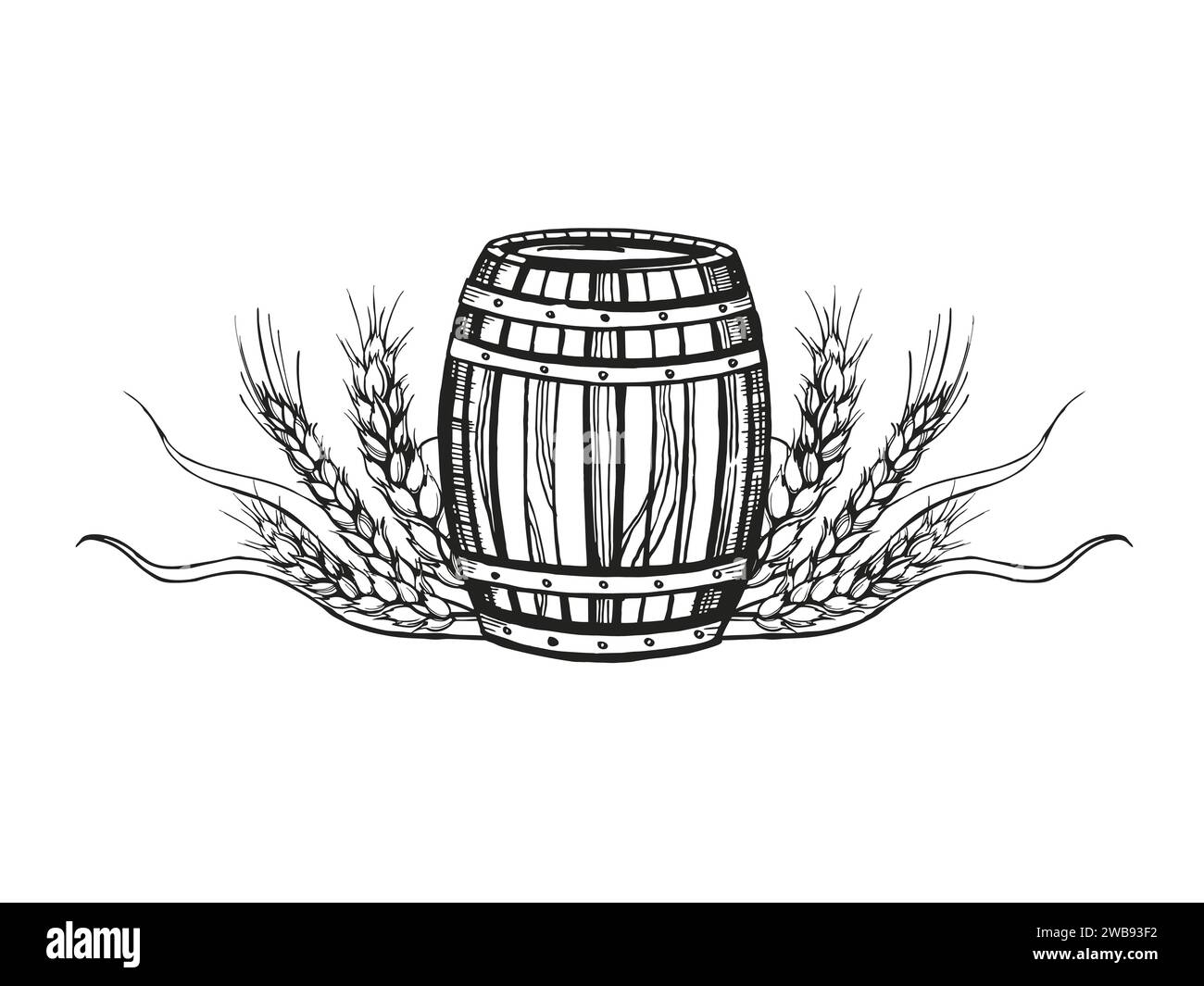 Dessin vectoriel dessiné à la main de tonneau en bois pour le vin, la bière, le whisky et les épis de blé, illustration en noir et blanc de fût de chêne en bois et plante de blé, encre Illustration de Vecteur