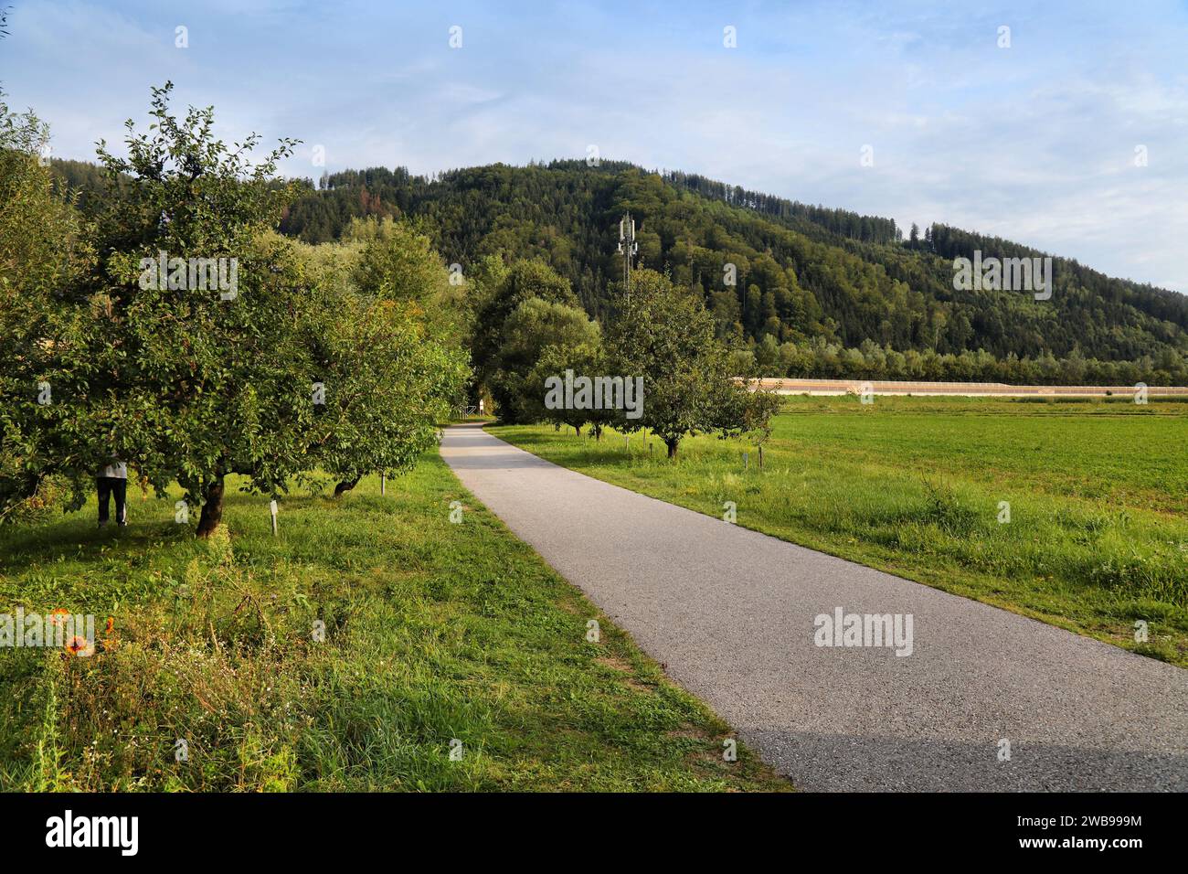 Murradweg longue distance piste cyclable le long de la rivière mur en Autriche. Vue près de Deutschfeistritz dans l'état de Styrie. Banque D'Images