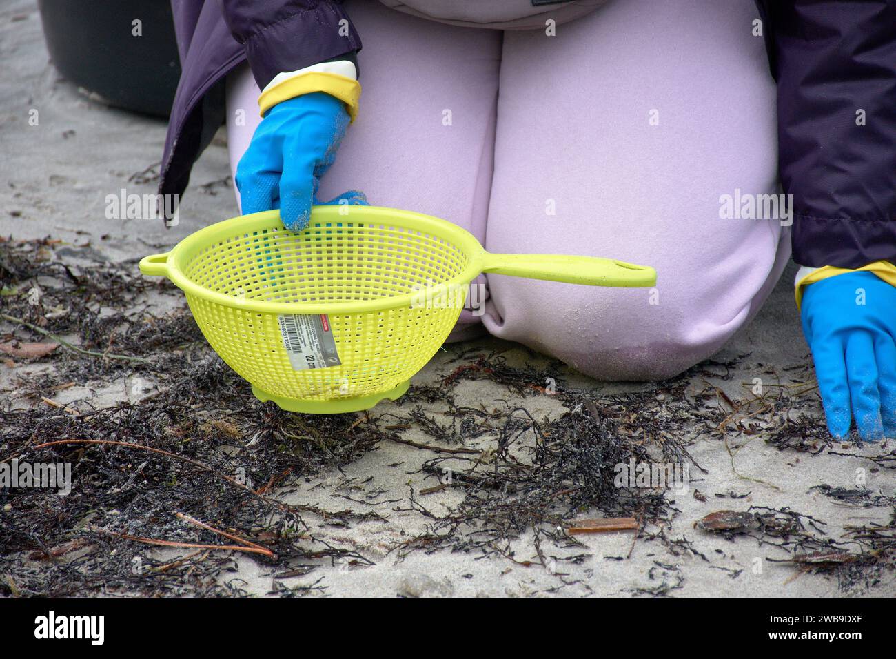 Les volontaires pour ramasser les granulés sur les plages de Galice utilisent des crépines, des seaux, des gants Banque D'Images