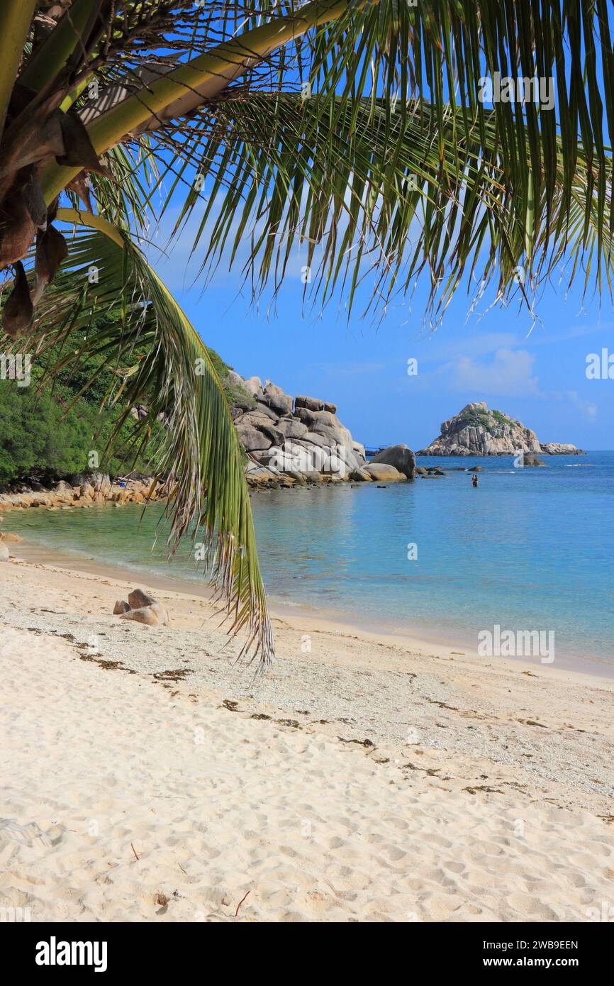 Île de Ko Tao en Thaïlande. Vacances à la plage thaïlandaise en décembre. Banque D'Images