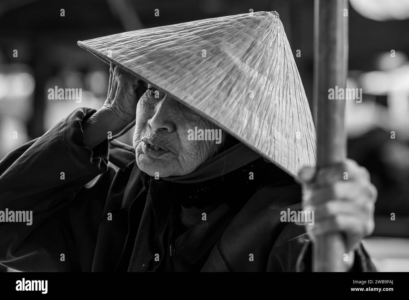 Vieille femme du Vietnam avec chapeau de paille Banque D'Images