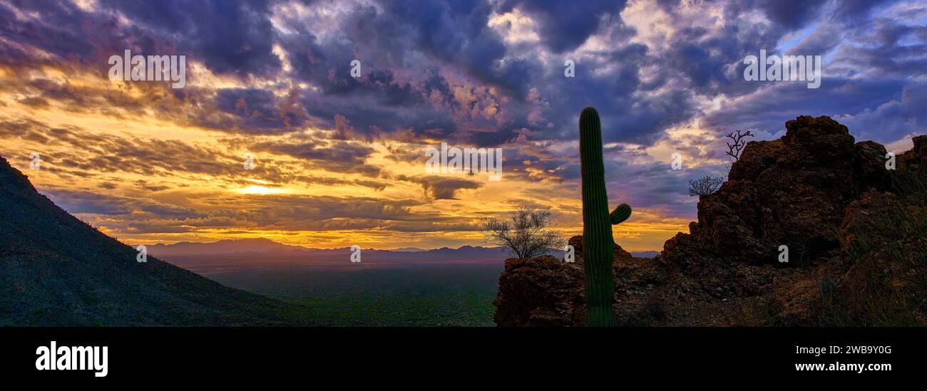 Le Gates Pass vista prend vie avec une silhouette saguaro dans un ciel spectaculaire après la tempête, peint par les couleurs vibrantes du coucher du soleil. Banque D'Images
