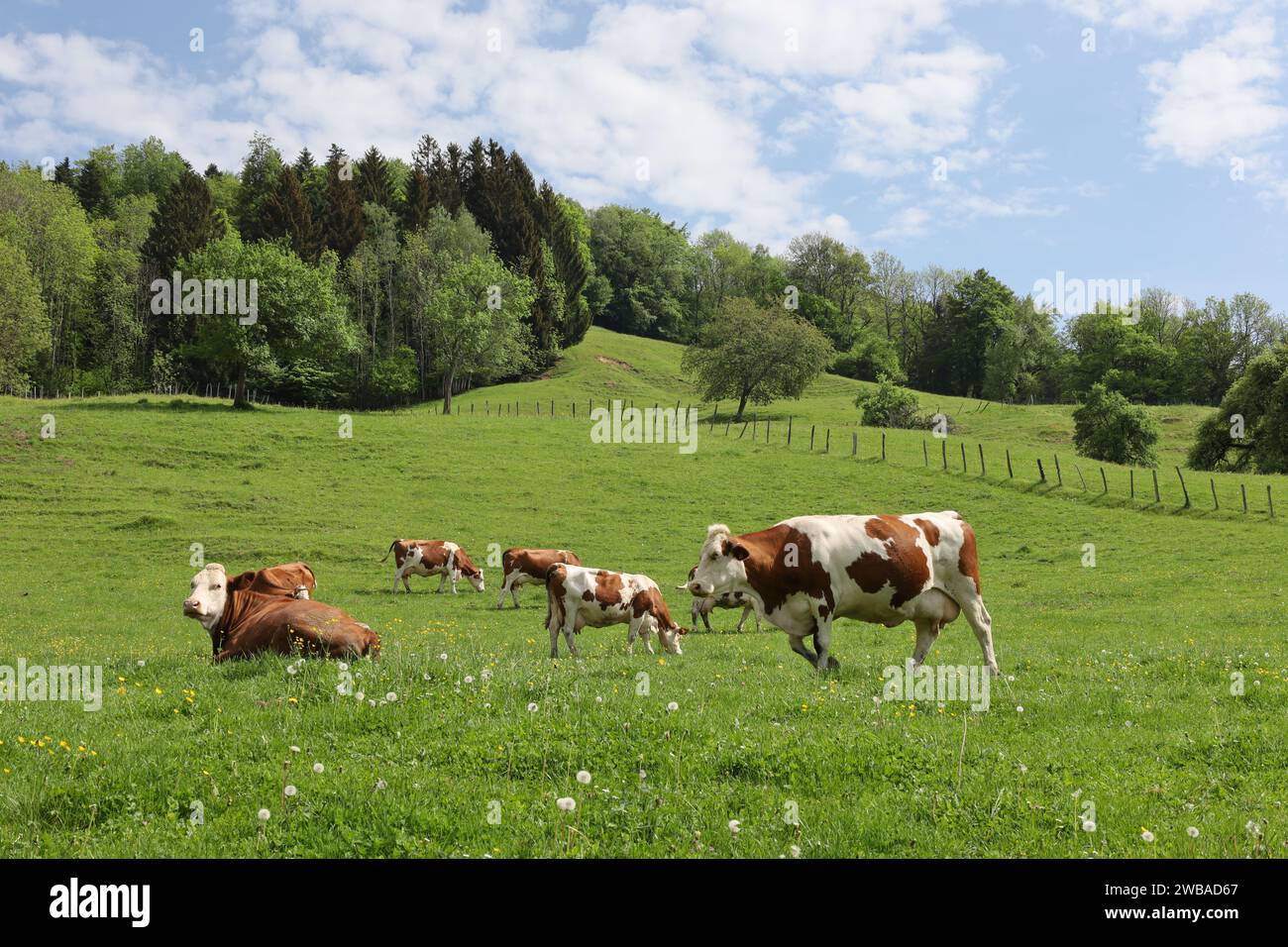 Vue sur une vallée en haute-Savoie Banque D'Images
