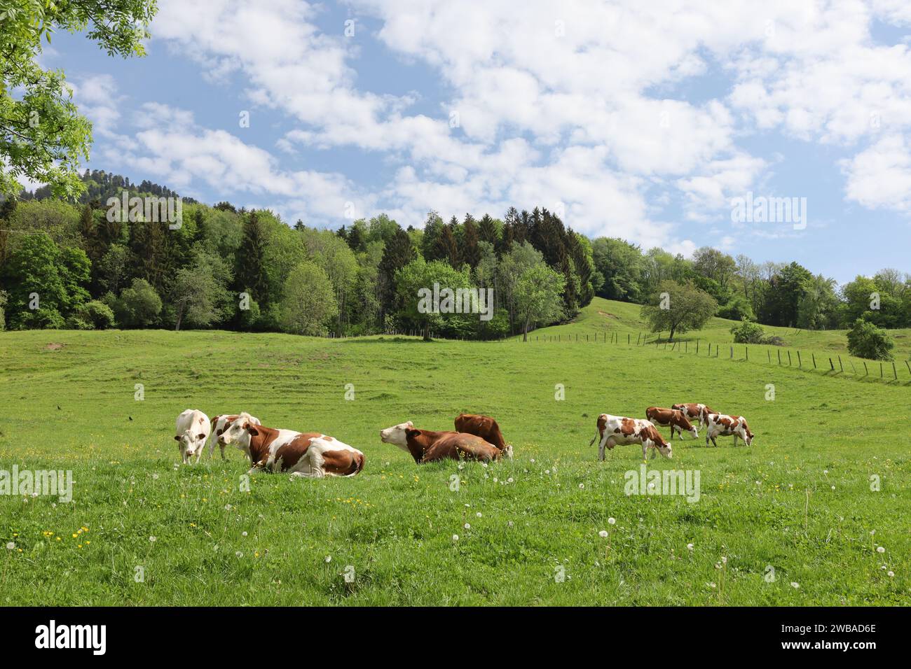 Vue sur une vallée en haute-Savoie Banque D'Images
