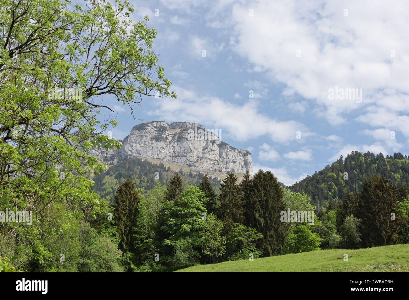 Vue sur une vallée en haute-Savoie Banque D'Images